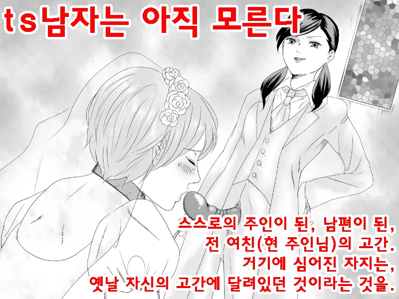 30-Sai Doutei, Seitenkan O Kyouyou Sarete Mi Mo Kokoro Mo Onna Ni Sareta. | 30살 동정, 성전환을 강요당해 몸도 마음도 여자로 되었다.